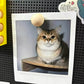🥚 Cute Egg Fridge Magnets for Photos & Notes