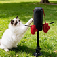 🐱🥊 Interactief boksspeelgoed voor katten – Ultiem speelplezier