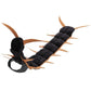 🐛🎃Halloween Centipede Pet Costume 👻