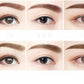✨2-in-1 Dual-Tone Eyebrow Stamp & Powder