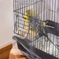 🐦✨ Capa de Malha para Gaiola de Pássaros – Mais Limpeza e Conforto para o Seu Pequeno Amigo! 💚🏡