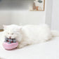 🐾 Mini Massage Tool For Cats & Humans The Tiny Relaxation Gadget Everyone Loves