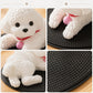 🧸 Realistic Teddy Bear Squishy — Cute Stress Relief Decor For Your Car & Space