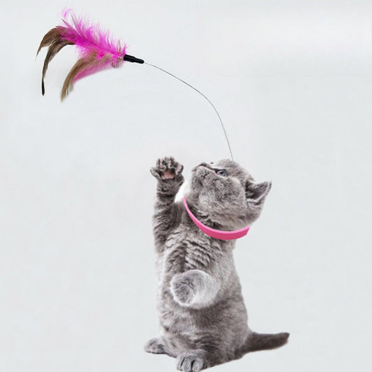🐱 2026 Kattenhalsband met veer & belletje 🎀 Zelfspeel-kattenspeeltje