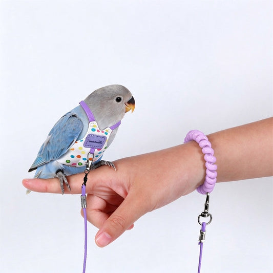 🦜✨ Vogeltuigje met Vliegriem – Veilig Samen Naar Buiten
