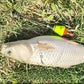 🎣Automatic Fishing Float &amp; Hook Setter
