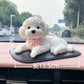 🧸 Realistic Teddy Bear Squishy — Cute Stress Relief Decor For Your Car & Space