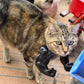 3D katt muskelarm anheng morsom spøkegave 2026
