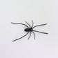 🕷️ Spider Fridge Magnets