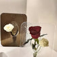 Acrylic photo frame vase 2026 transparent table decor flowers hydroponics living room