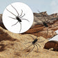 🕷️ Spider Fridge Magnets