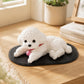 🧸 Realistic Teddy Bear Squishy — Cute Stress Relief Decor For Your Car & Space
