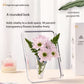 Acrylic photo frame vase 2026 transparent table decor flowers hydroponics living room