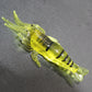 🦐✨ 4cm Glow Shrimp Lure – Realistic Soft Bait for Freshwater & Sea