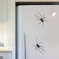 🕷️ Spider Fridge Magnets
