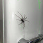🕷️ Spider Fridge Magnets
