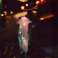 🪼 Glowing Jellyfish Hanging Lantern for a Dreamy Room ✨