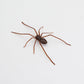 🕷️ Spider Fridge Magnets