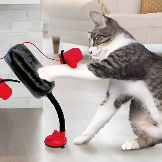 🐱🥊 Interactief boksspeelgoed voor katten – Ultiem speelplezier