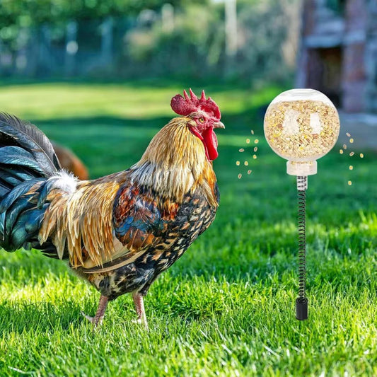 🦆🌾 Interactief Voerspeeltje voor Eenden – Pikken & Voeren