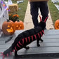 🐛🎃Halloween Centipede Pet Costume 👻
