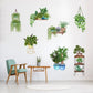 🌵3D-veggklistremerke med grønn plante